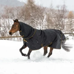 Couverture extérieur cheval couvre-cou amovible 50g Irish Turnout Light - Bucas