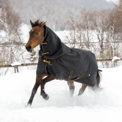 Couverture extérieur cheval couvre-cou amovible 50g Irish Turnout Light - Bucas