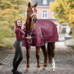 Couverture extérieur cheval 200g Economic Clip'in system - Waldhausen