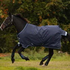 Couverture extérieur cheval 250g Amigo Bravo 12 Original Medium - Horseware
