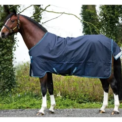 Couverture extérieur cheval Amigo Bravo 12 Original 0g - Horseware