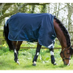 Couverture extérieur cheval Amigo Bravo 12 Original 0g - Horseware