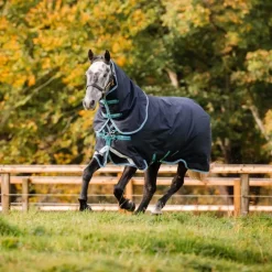 Couverture extérieur cheval 250g Amigo Bravo 12 Plus Medium - Horseware