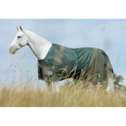 Couverture extérieur cheval Green line 300g en tissu recyclable - Bucas
