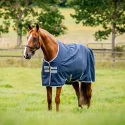 Couverture extérieur cheval Amigo Ripstop 100g 900 deniers - Horseware