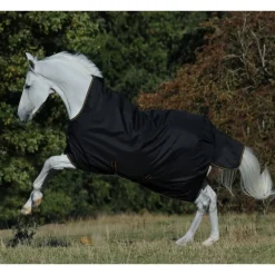 Couverture extérieur cheval encolure haute 50g Irish Turnout Light - Bucas