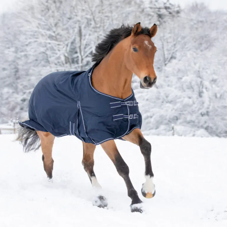 Couverture extérieur cheval doublée polaire Economic Clip'in system - Waldhausen
