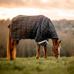 Couverture extérieur cheval 0gr Rhino Plus Reflectech - Horseware