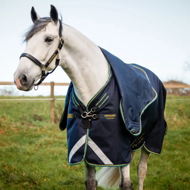 Couverture extérieur cheval Rambo Duo Force 2 - Horseware