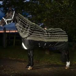 Couverture extérieur cheval avec couvre-cou réfléchissante Amigo Reflectech Plus 50g - Horseware