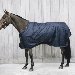 Couverture extérieur cheval 300g All Weather Pro - Kentucky