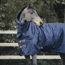 Couverture extérieur cheval 300g All Weather Pro - Kentucky