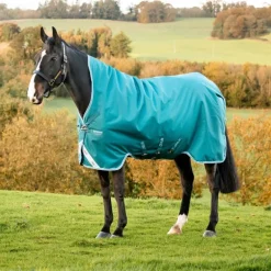 Couverture extérieur cheval 250g Amigo Bravo 12 Wug - Horseware