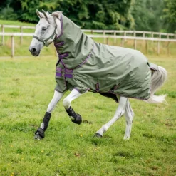 Couverture extérieur cheval avec couvre-cou Amigo Hero Ripstop Lite 0g - Horseware