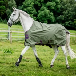 Couverture extérieur cheval avec couvre-cou Amigo Hero Ripstop Lite 0g - Horseware