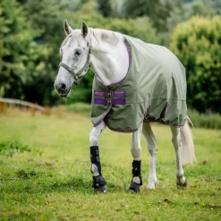 Couverture extérieur cheval avec couvre-cou Amigo Hero Ripstop Lite 0g - Horseware