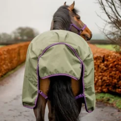 Couverture extérieur cheval avec couvre-cou Amigo Hero Ripstop Lite 0g - Horseware