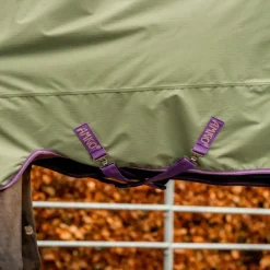 Couverture extérieur cheval avec couvre-cou Amigo Hero Ripstop Lite 0g - Horseware