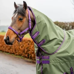 Couverture extérieur cheval avec couvre-cou Amigo Hero Ripstop Lite 0g - Horseware
