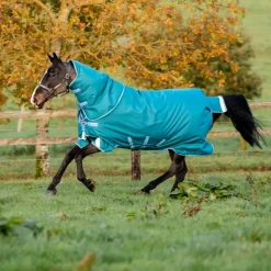 Couverture extérieur cheval 400g avec cou Amigo Bravo 12 Plus Heavy - Horseware