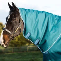 Couverture extérieur cheval 400g avec cou Amigo Bravo 12 Plus Heavy - Horseware