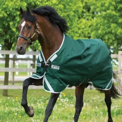 Couverture extérieur cheval Rambo original Leg arches Lite 0g - Horseware