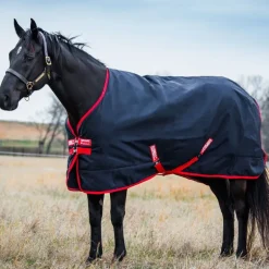 Couverture extérieur cheval Rambo Original turnout 200g - Horseware