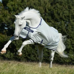Couverture extérieur cheval thermorégulante Power Turnout 0gr - Bucas