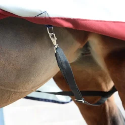 Couverture extérieur cheval thermorégulante Power Turnout 0gr - Bucas