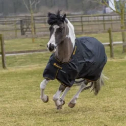 Couverture extérieur poney 50 g Irish Turnout Light - Bucas