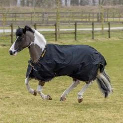 Couverture extérieur poney - Irish Turnout extra 300g - Bucas