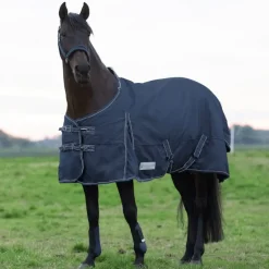 Couverture extérieure cheval 50g Economic Clip'in - Waldhausen