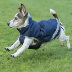 Couverture imperméable chien Freedom 300g - Bucas