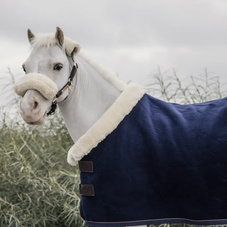 Couverture polaire shetland Show Heavy Mini - Kentucky