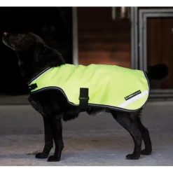 Couverture réflechissante chien 100 g Rambo Reflective - Horseware