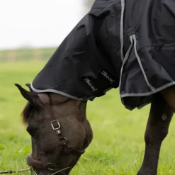 Couvre-cou cheval Muze 200g - Pro-Confort Horsewear
