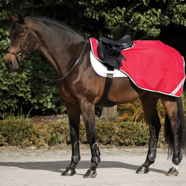 Couvre-reins cheval doublé Amigo Competition - Horseware