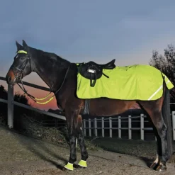 Couvre-reins réfléchissant imperméable cheval Reflex - Waldhausen