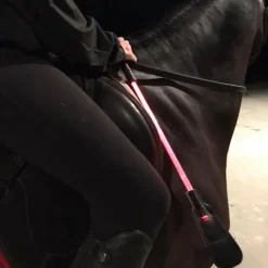 Cravache lumineuse led 3 couleurs - Equizor