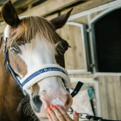 Crème solaire cheval Sun Protec 150 ml - Ravene