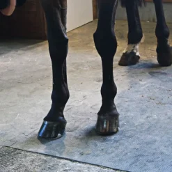 Dalle Clip Horse caoutchouc emboîtable pour box cheval ou aire de pansage - IDS