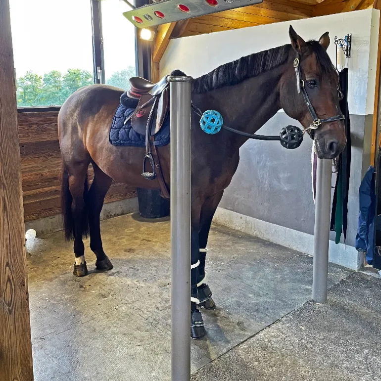 Dalle Clip Horse caoutchouc emboîtable pour box cheval ou aire de pansage - IDS