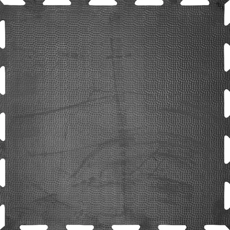 Dalle Clip Horse caoutchouc emboîtable pour box cheval ou aire de pansage - IDS