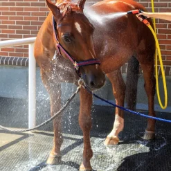 Dalle Clip Super en caouthouc pour douche écurie cheval - IDS