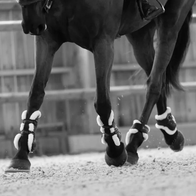 Doublure protection mouton cheval Chalou - Pro-Confort Horsewear