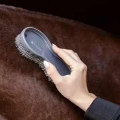 Duo de brosses cheval magique - Waldhausen