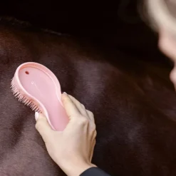 Duo de brosses cheval magique - Waldhausen