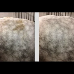 Easy Shine Mouss - Nettoyant sec cheval - Ravene