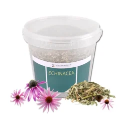 Echinacea Bien-être et immunité cheval 1 kg - Waldhausen
