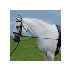 Enrênement élastique extension d'encolure - Waldhausen